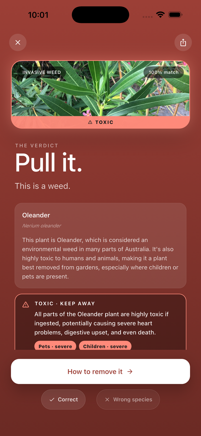 PullOrKeep verdict screen showing an Oleander identified as PULL with toxicity warnings